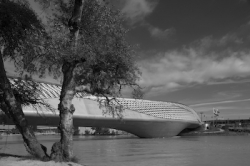 view-portfolio-9.jpg