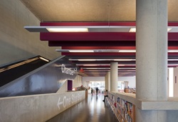 Image 10.jpg